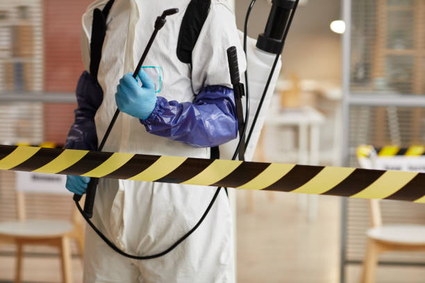 Professional Hoarding Cleanup technician working in Trenton, MI